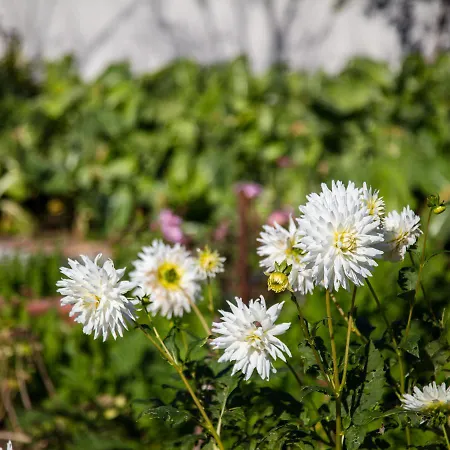 70's Wood House Гостевой дом *