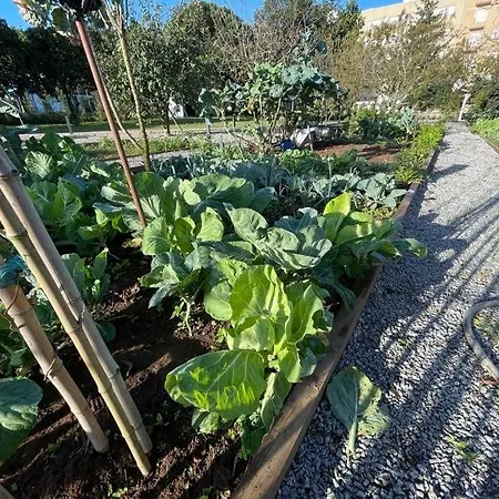 70's Wood House 招待所