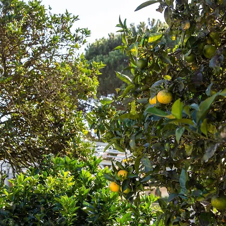 70's Wood House 招待所 *