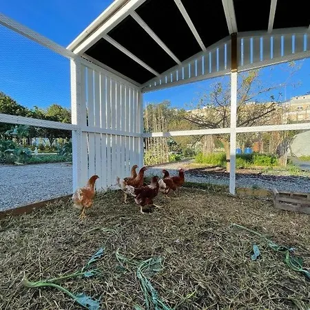 70's Wood House 招待所 Maía