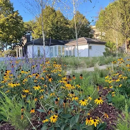 70's Wood House * Maía