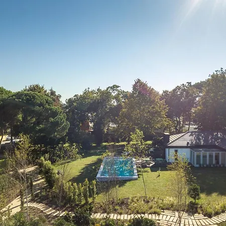 70's Wood House Мая