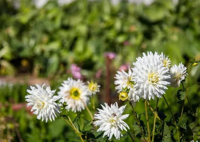 70's Wood House 게스트하우스 *