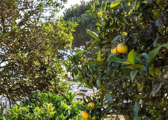 70's Wood House 게스트하우스 *