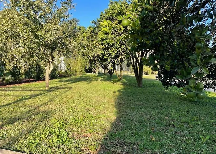 70's Wood House * Maía