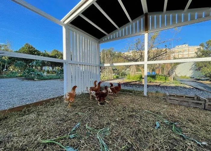 70's Wood House 게스트하우스 Maía