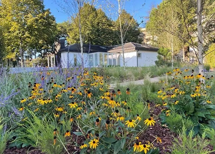 70's Wood House * Maía