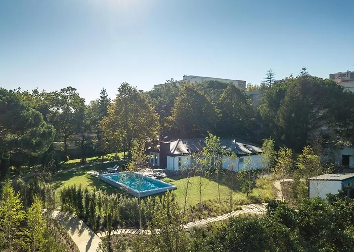 70's Wood House 게스트하우스 Maía